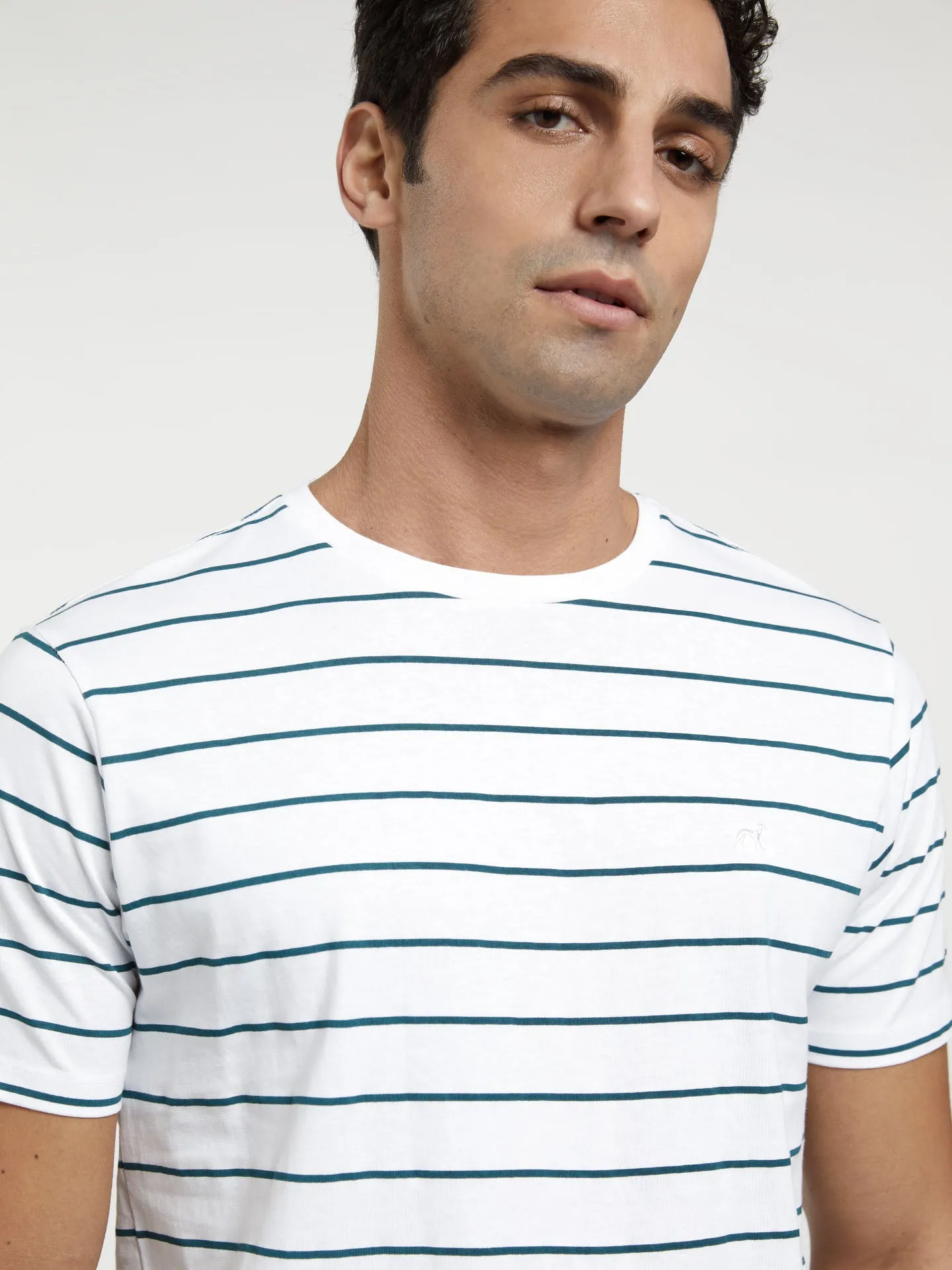 Garment Dye T-shirt With Stripes
