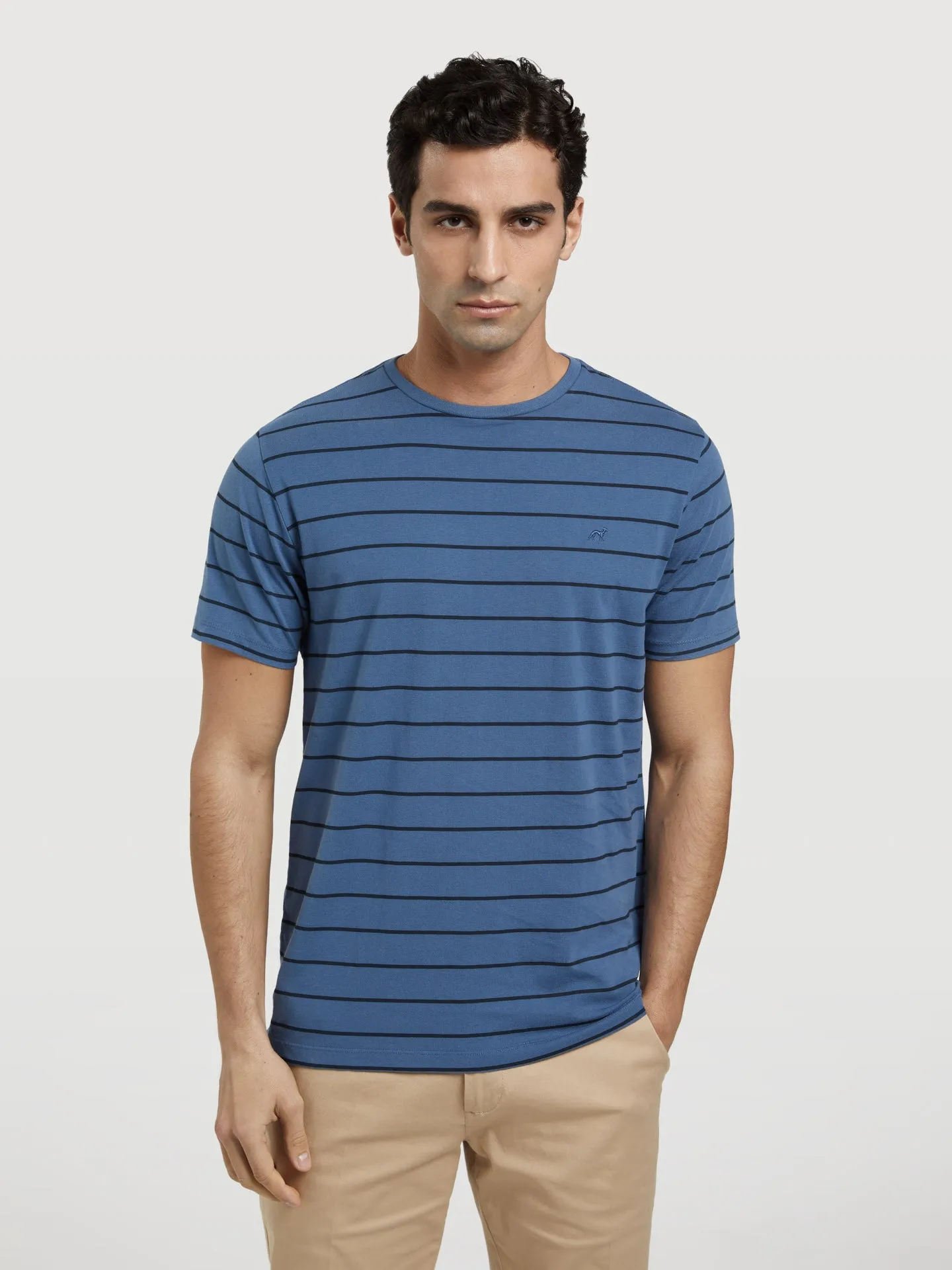 Garment Dye T-shirt With Stripes