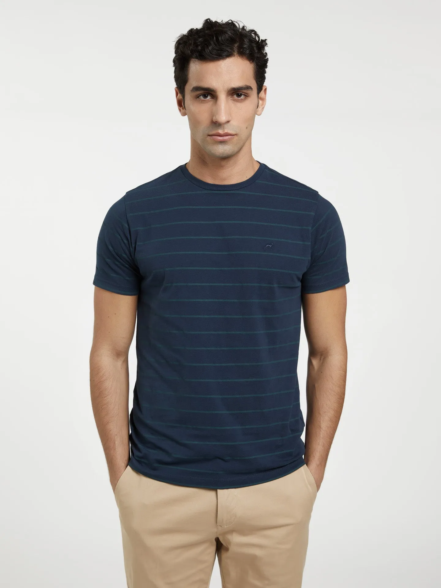 Garment Dye T-shirt With Stripes
