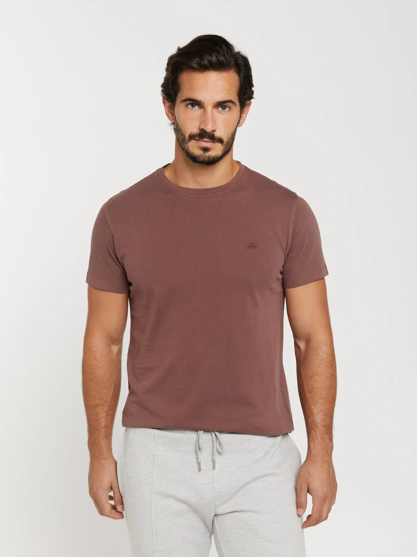 Luxe leisure edition logo embroidered t-shirt