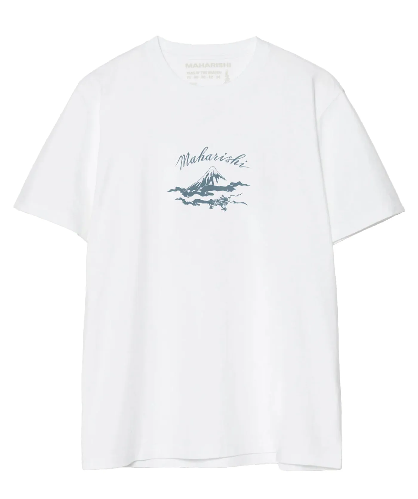 Mount Fuji T-Shirt