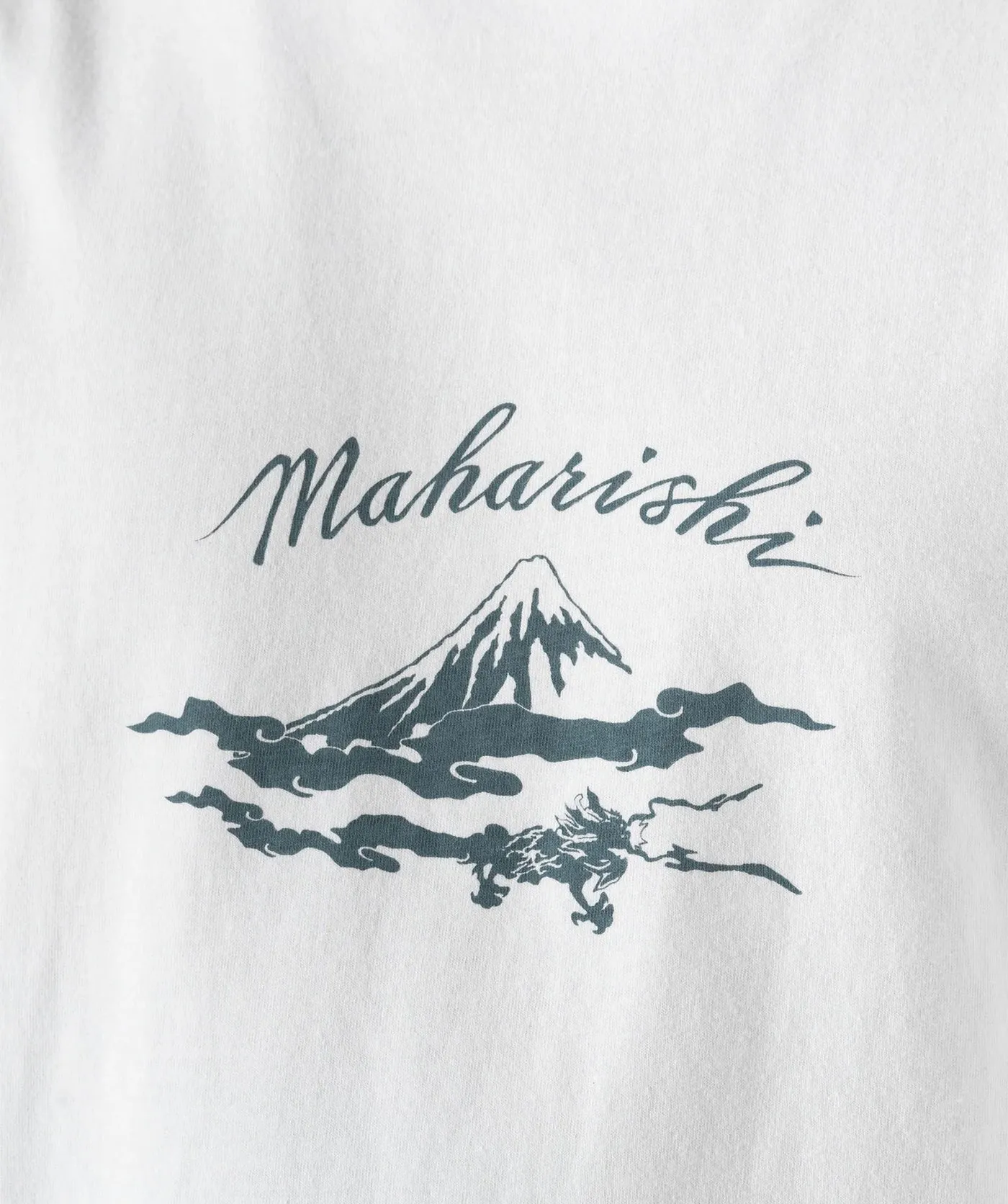 Mount Fuji T-Shirt