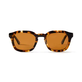 Oscar Sun Tortoise